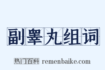 副睾丸组词是什么意思的图片